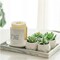 4-Pack Artificial Succulent Plants in Ceramic Pots – Realistic Mini Faux Green Plants for Desk, Bedroom, Bathroom, Office & Shelf Home Decor (Women’s Room Aesthetic Decor Set)